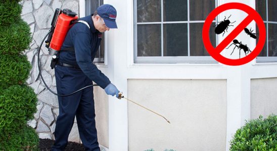 Çorlu Böcek ve Haşere İlaçlama böcek ilaçlama ve haşere kontrolü — ilaclama-tr.com